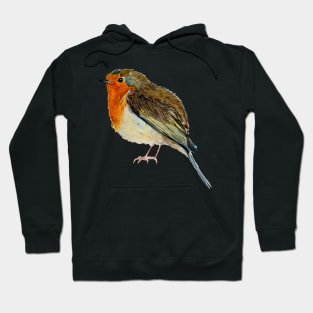 Robin Hoodie